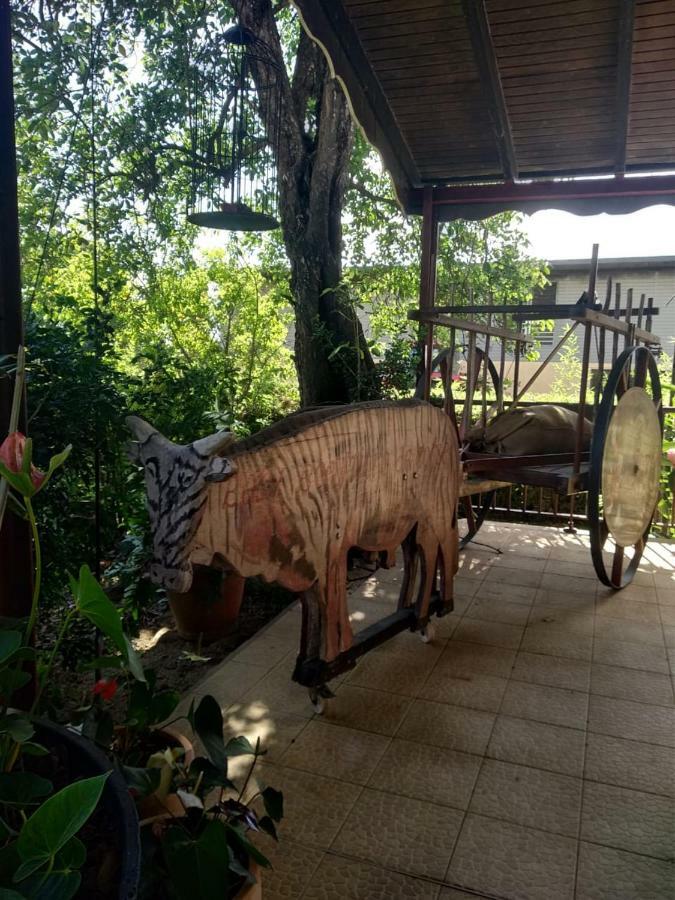 Ti Kaz En Bois Villa Sainte-Rose Exteriör bild